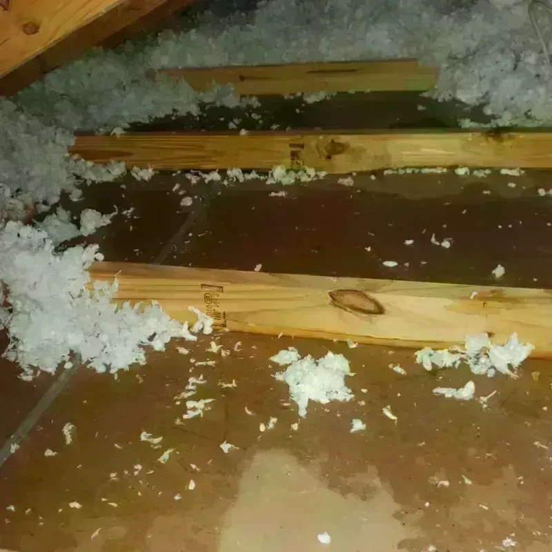 Attic Water Damage in Midway, LA