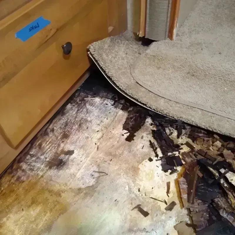 Wood Floor Water Damage in Midway, LA